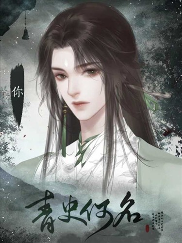 青史何名完结版