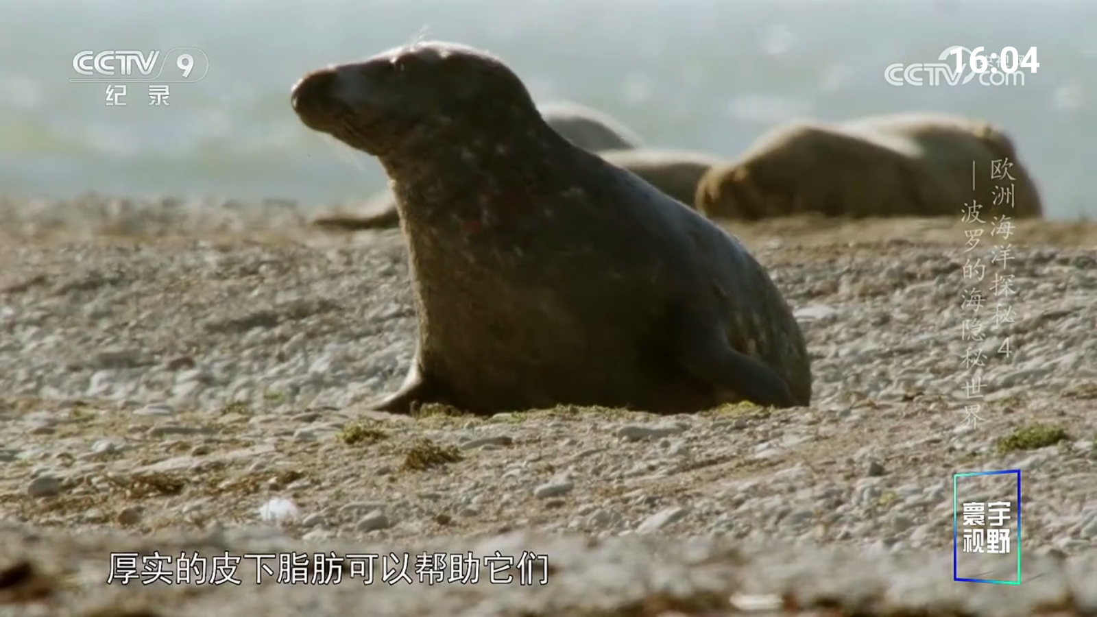 宝盒爱看安卓版